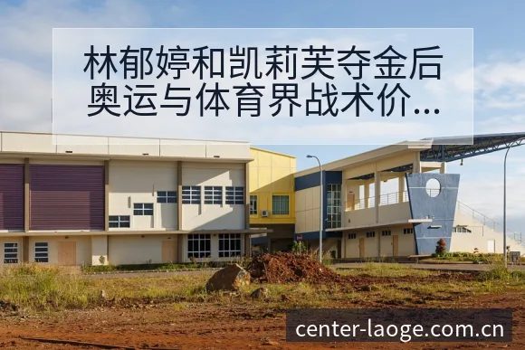 林郁婷和凯莉芙夺金后奥运与体育界战术价值深度解析 - 老哥网